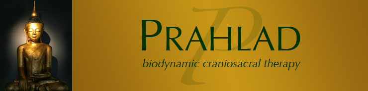 Prahlad.com header image